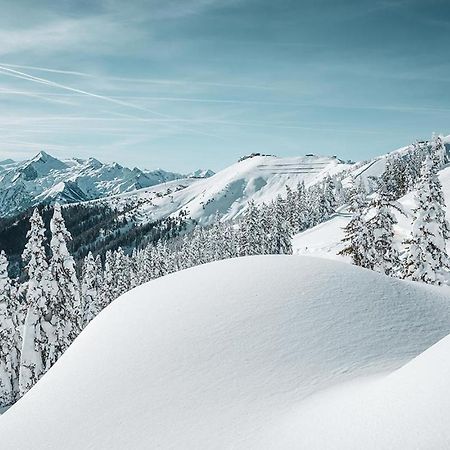 Premium Apartments Adlerhorst By We Rent Zell am See Ngoại thất bức ảnh